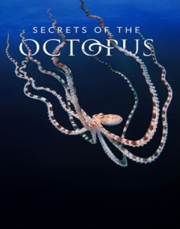 ver Secrets of the Octopus - Temporada 1 online