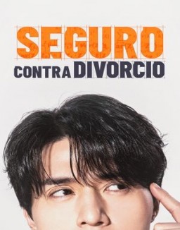 ver Seguro de divorcio - Temporada 1 online