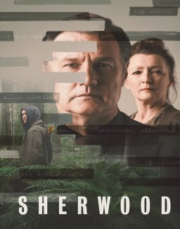 ver Sherwood (2022) - Temporada 2 online