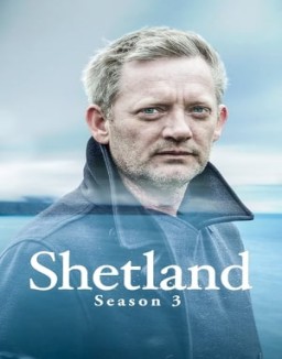 ver Shetland - Temporada 3 online
