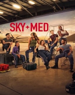 ver SkyMed - Temporada 2 online