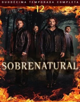 ver Sobrenatural - Temporada 12 online