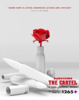 ver Sobreviviendo al cártel - Temporada 1 online