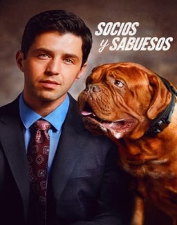 ver Socios y sabuesos - Temporada 1 online