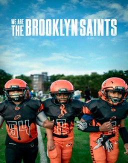 ver Somos los Brooklyn Saints - Temporada 1 online
