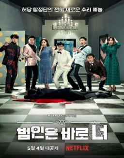 ver Sorpresa - Temporada 1 online
