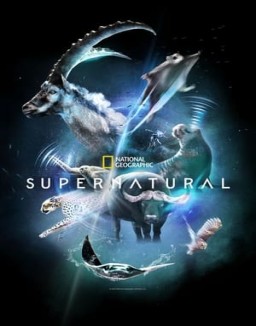 ver Super/Natural - Temporada 1 online
