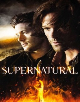 ver Supernatural - Temporada 10 online