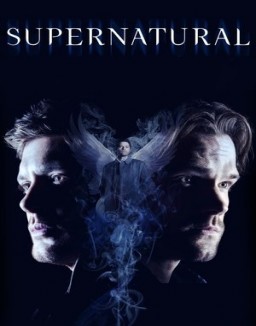 ver Supernatural - Temporada 14 online