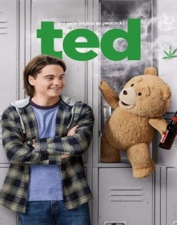 ver ted - Temporada 1 online