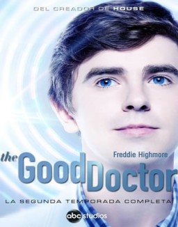 ver The Good Doctor temporada 2 serie gratis