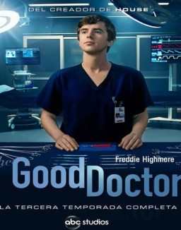 ver The Good Doctor temporada 3 serie gratis
