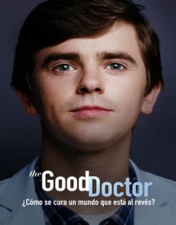 ver The Good Doctor temporada 4 serie gratis
