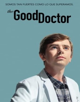 ver The Good Doctor temporada 5 serie gratis