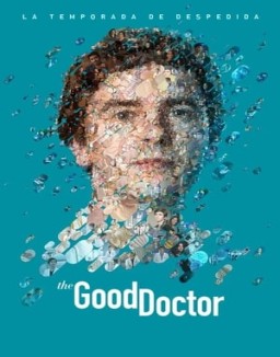 ver The Good Doctor - Temporada 7 online