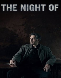 ver The Night Of - Temporada 1 online