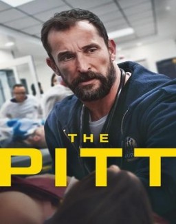 ver The Pitt - Temporada 1 online
