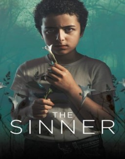 ver The Sinner - Temporada 2 online