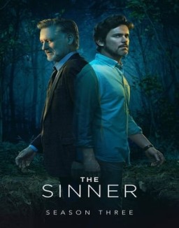 ver The Sinner - Temporada 3 online