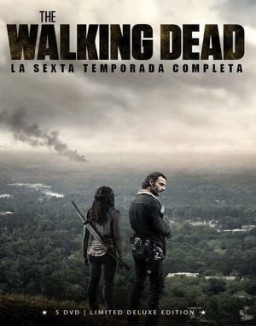 ver The Walking Dead - Temporada 6 online