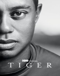 ver Tiger - Temporada 1 online