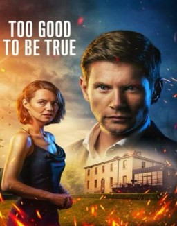 ver Too Good to Be True - Temporada 1 online