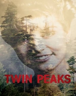 ver Twin Peaks - Temporada 1 online