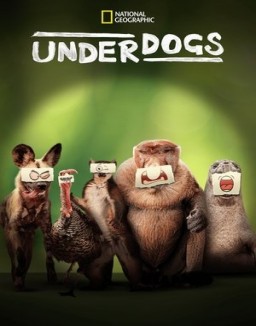 ver Underdogs - Temporada 1 online