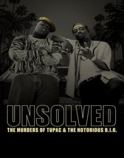 ver Unsolved - Temporada 1 online