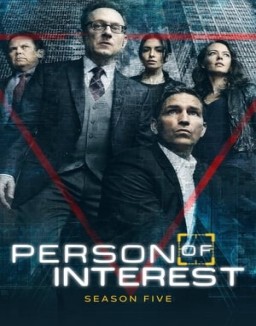 ver Vigilados, Person of Interest - Temporada 5 online