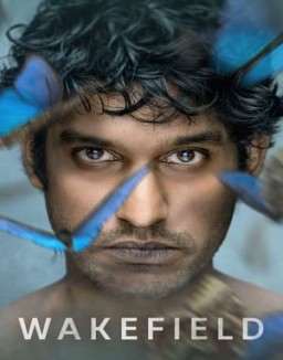 ver Wakefield - Temporada 1 online
