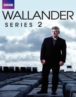 ver Wallander - Temporada 2 online