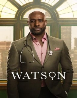 ver Watson - Temporada 1 online