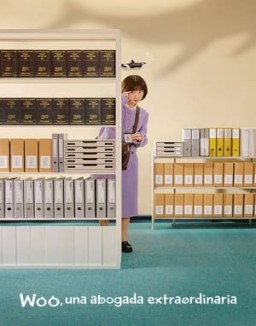 ver Woo, Una Abogada Extraordinaria - Temporada 1 online