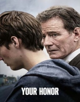 ver Your Honor - Temporada 1 online