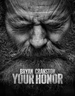 ver Your Honor - Temporada 2 online